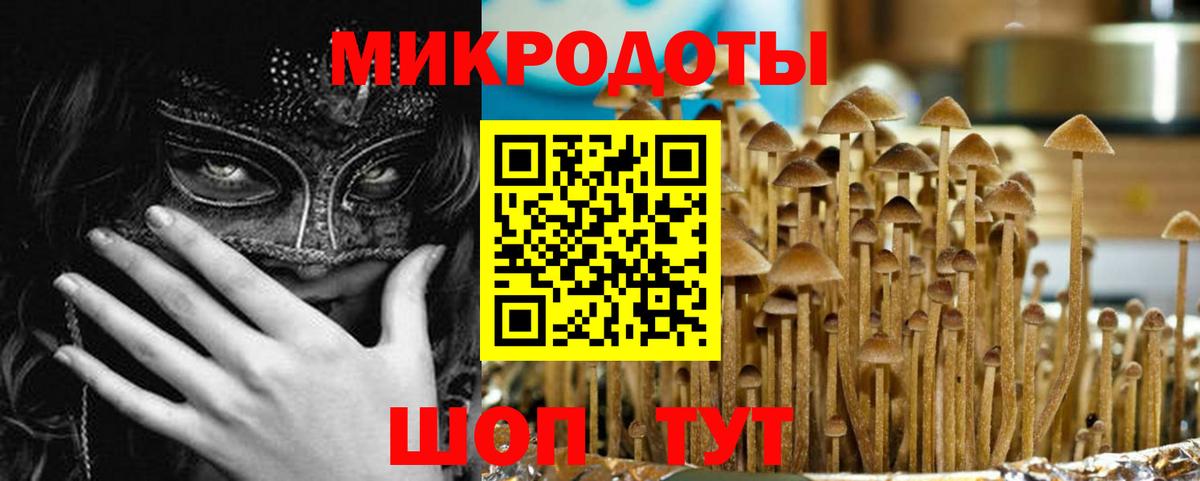 Псилоцибиновые грибы прущие грибы  Вход с VPN  Ейск 
